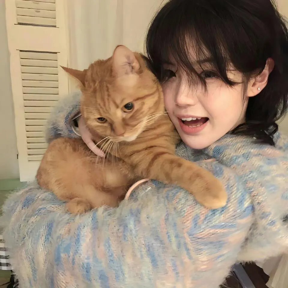 东离剑游纪第四季